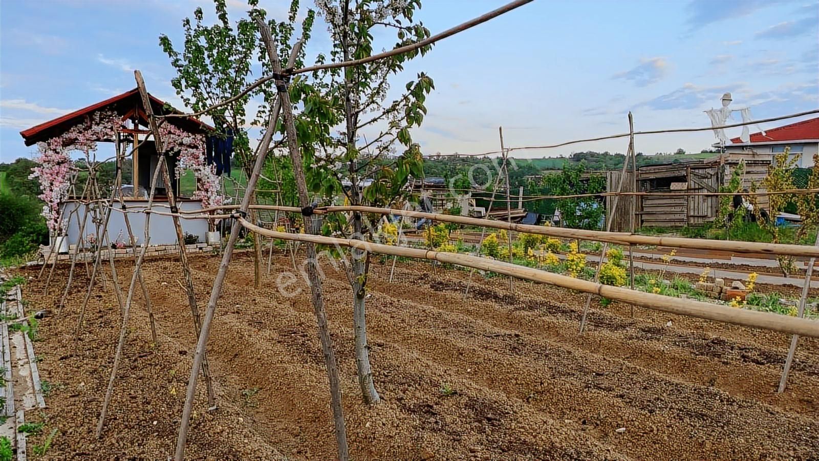 Kırkgül Gayrimenkul'den Çatalca Dağyenice'de Müstakil Ev Ve Arsa - Görsel 8