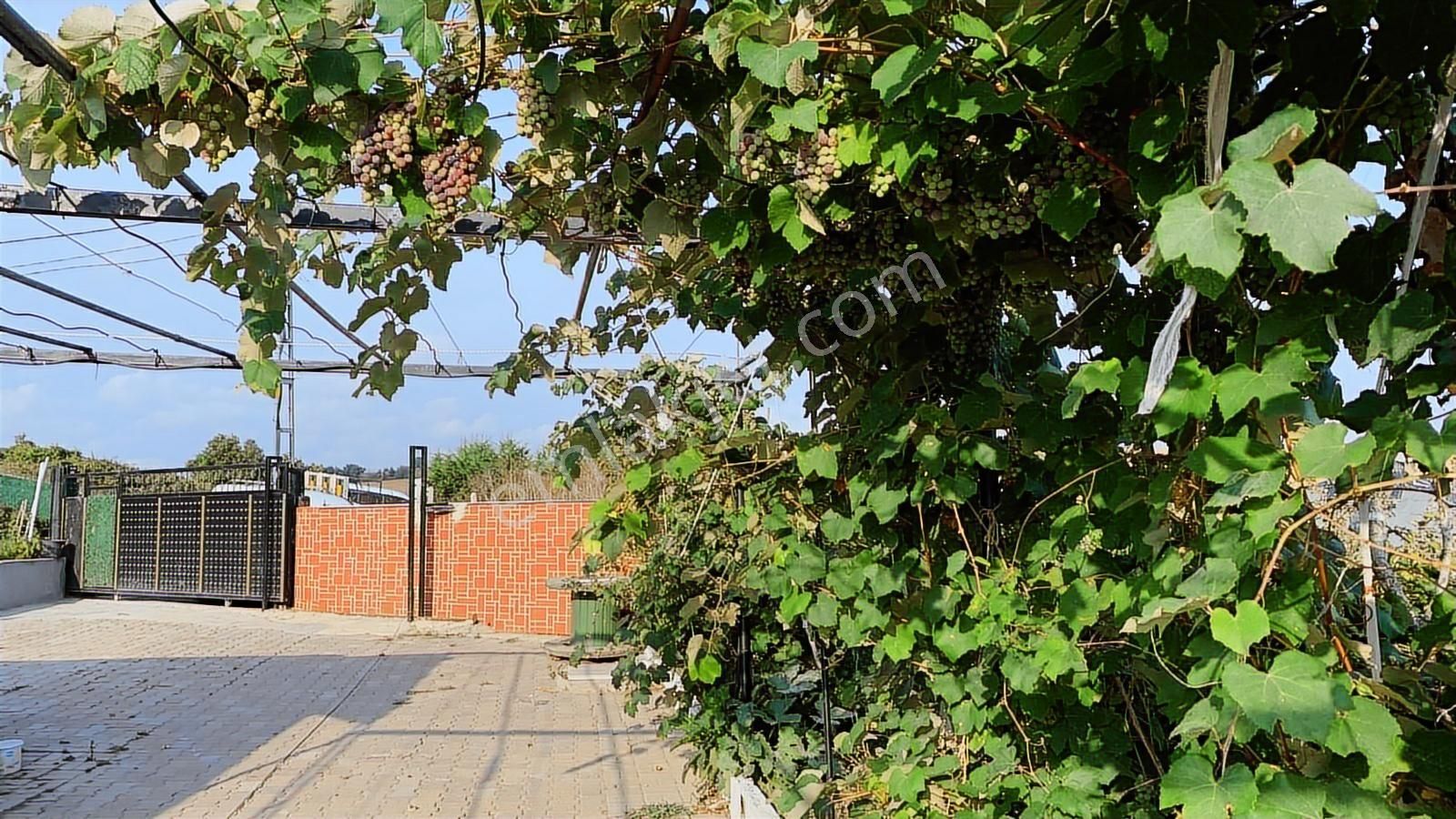 Kırkgül Gayrimenkul'den Çatalca Dağyenice'de Müstakil Ev Ve Arsa - Görsel 30