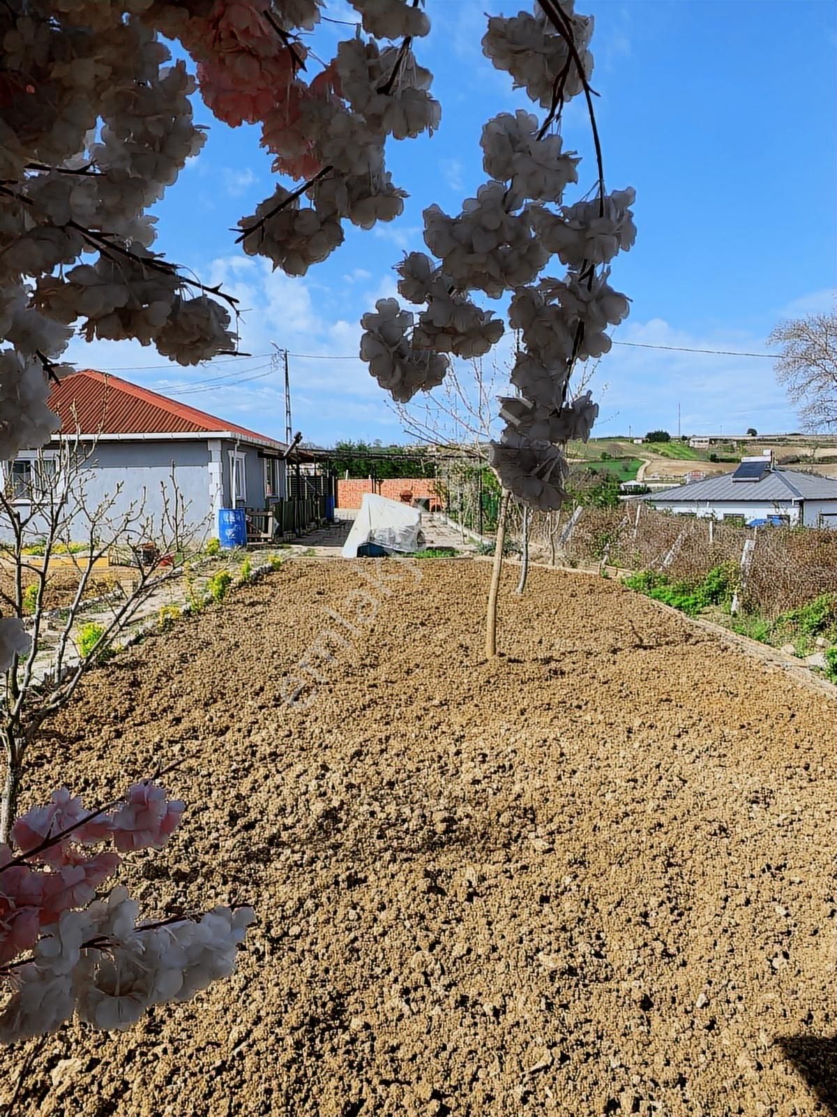 Kırkgül Gayrimenkul'den Çatalca Dağyenice'de Müstakil Ev Ve Arsa - Görsel 28
