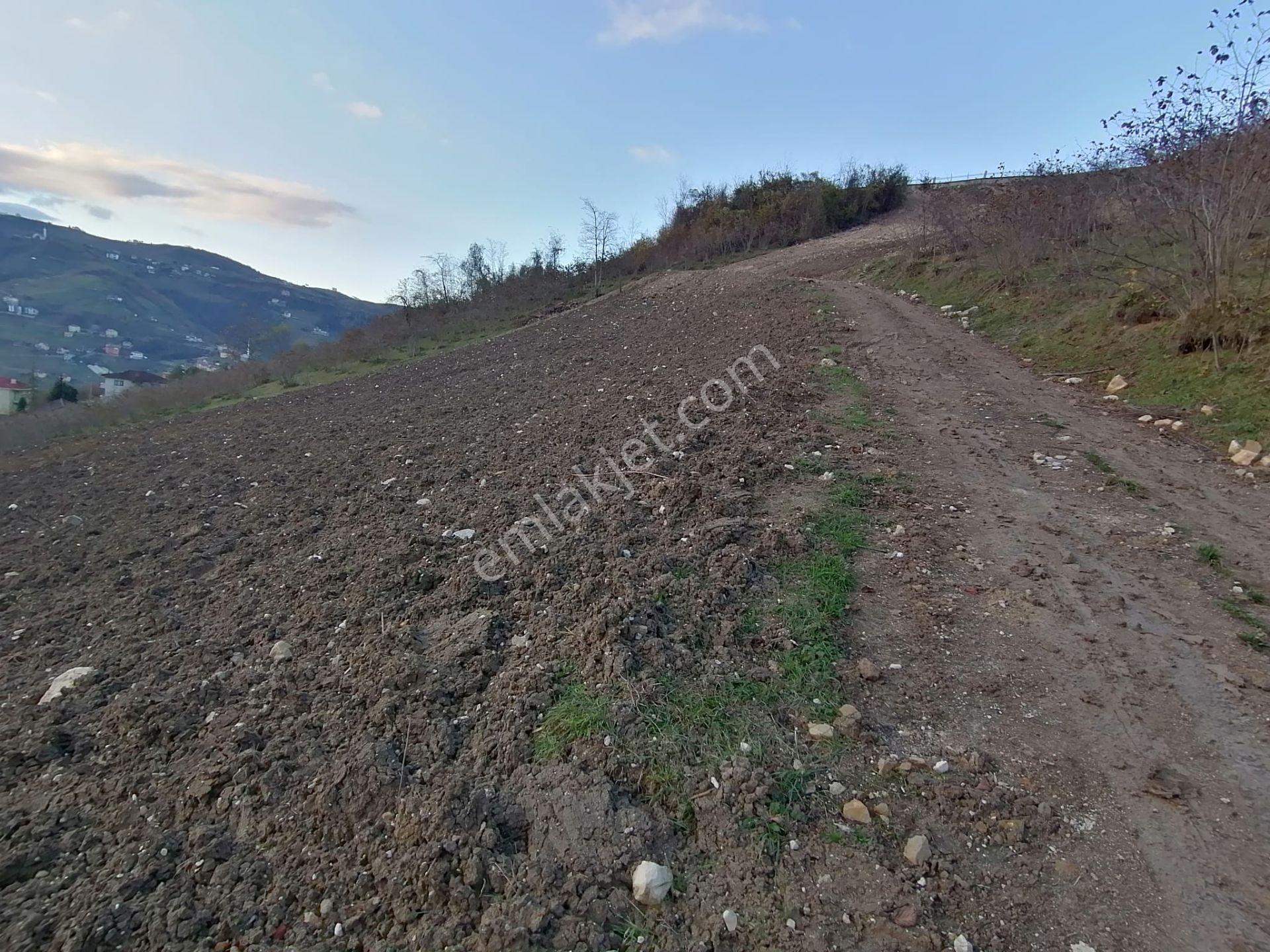 Trabzon Uğurlu Satılık Villalık Arsa - Görsel 5