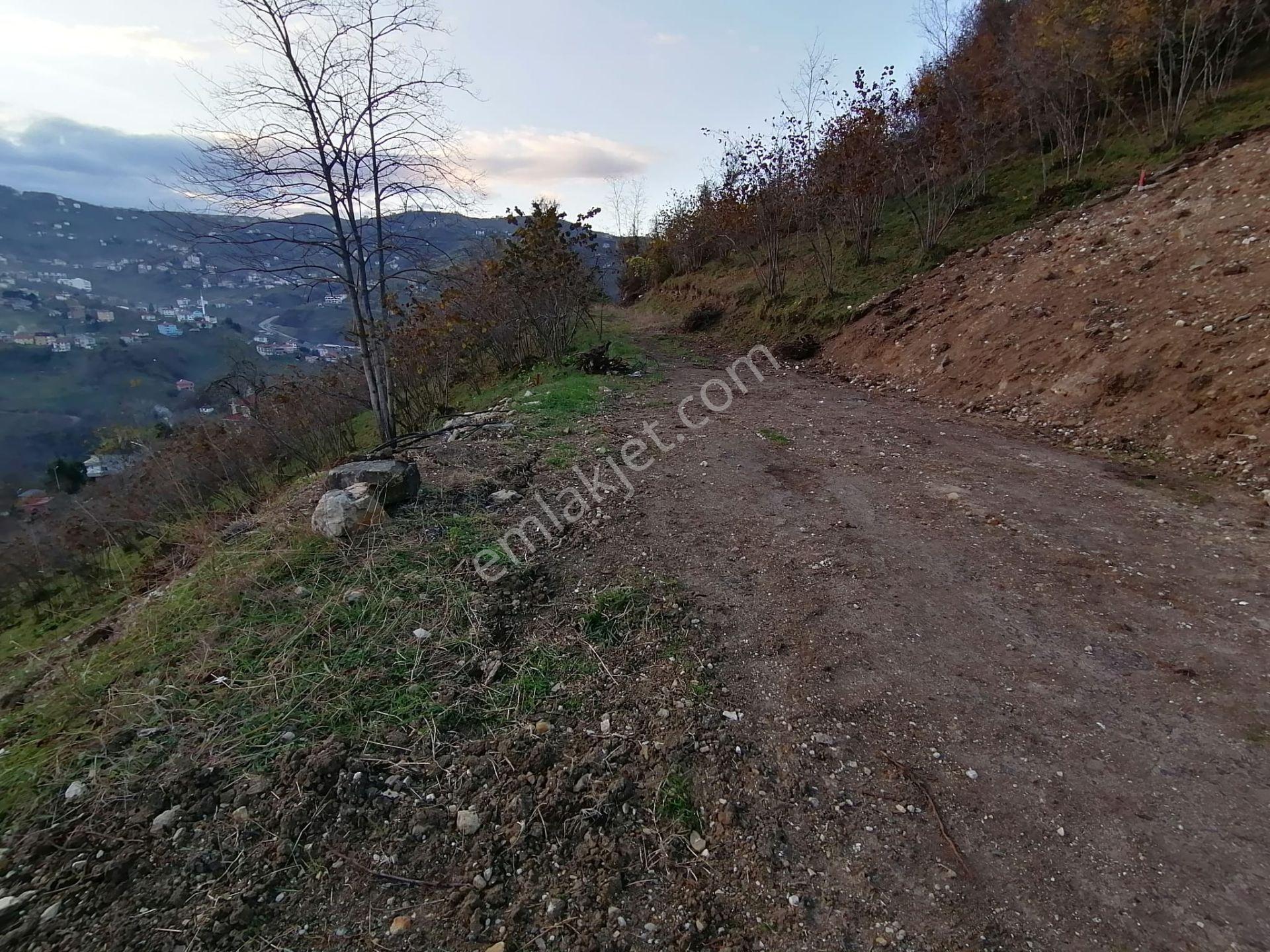 Trabzon Uğurlu Satılık Villalık Arsa - Görsel 15