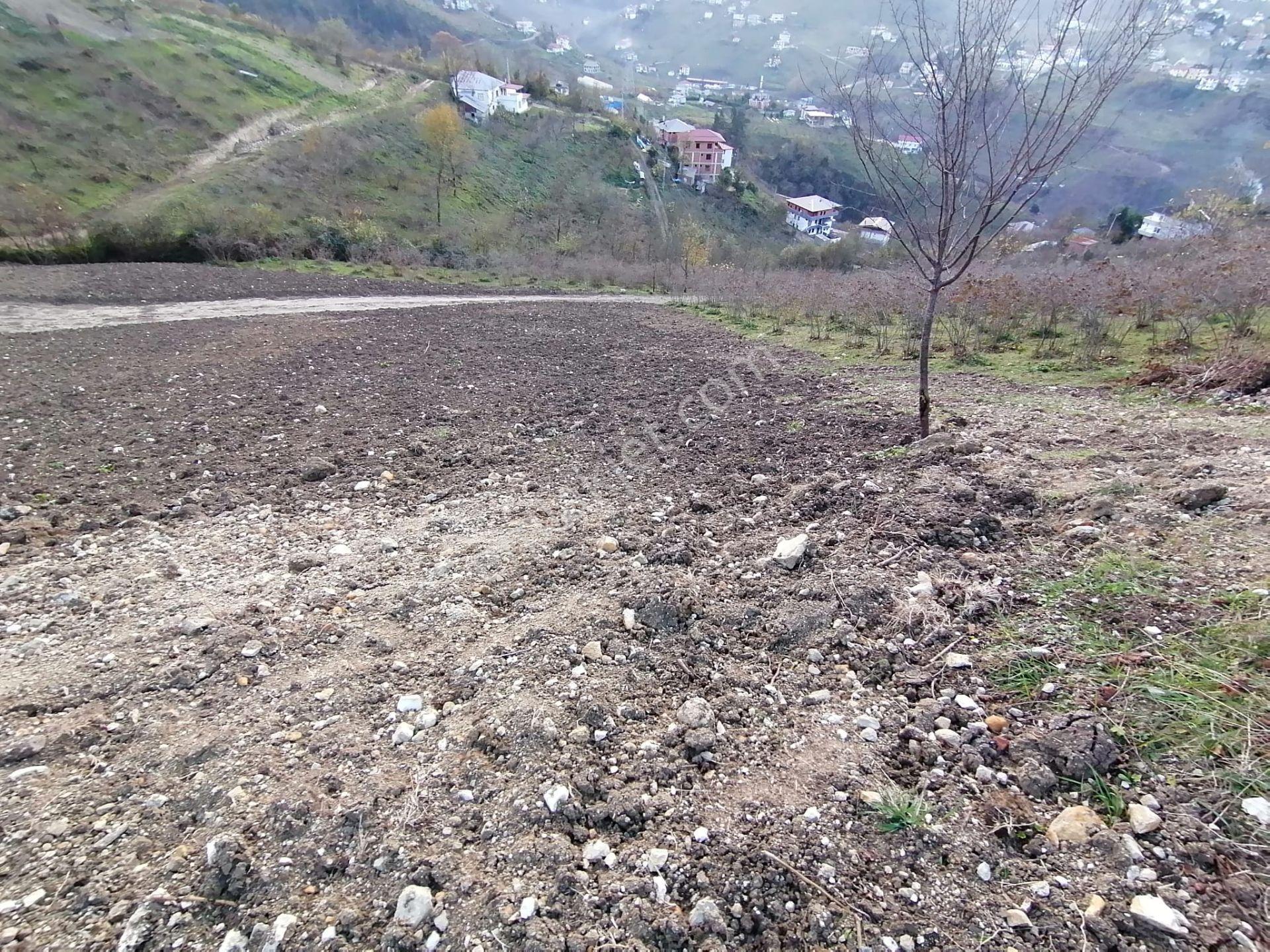 Trabzon Uğurlu Satılık Villalık Arsa - Görsel 3