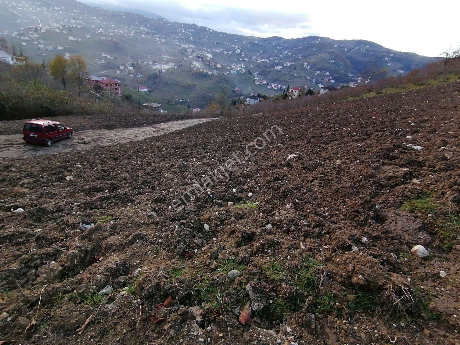 Trabzon Uğurlu Satılık Villalık Arsa - Görsel 10