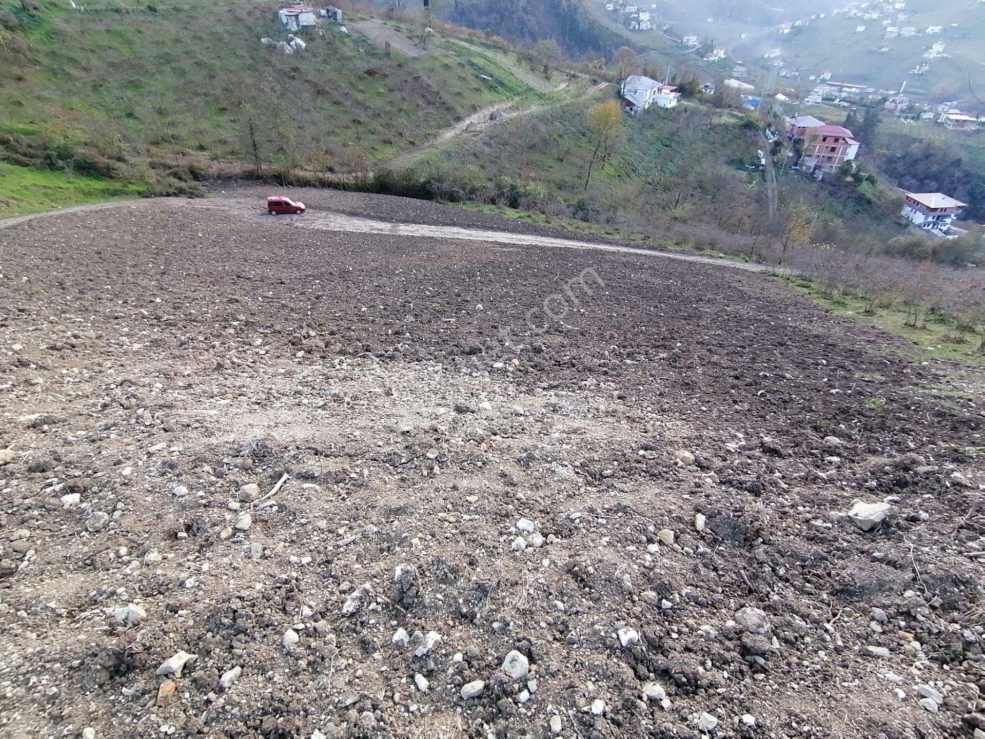 Trabzon Uğurlu Satılık Villalık Arsa - Görsel 16