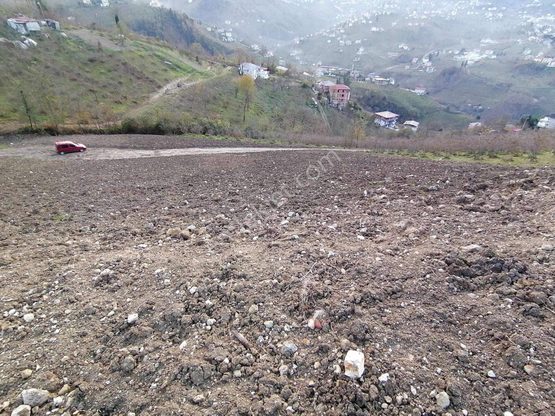 Trabzon Uğurlu Satılık Villalık Arsa - Görsel 17