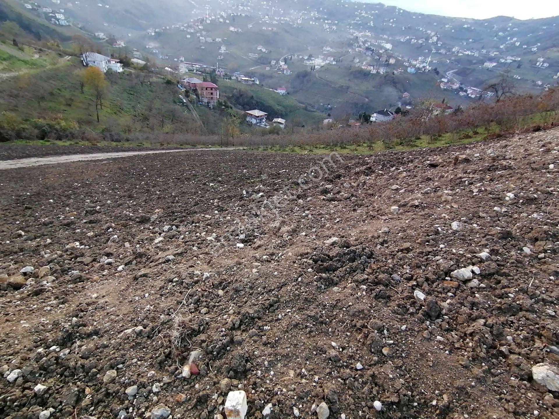 Trabzon Uğurlu Satılık Villalık Arsa - Görsel 13