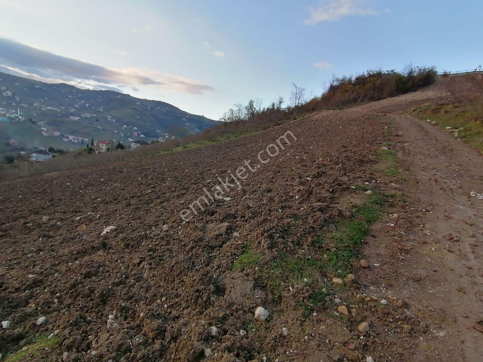 Trabzon Uğurlu Satılık Villalık Arsa - Görsel 11