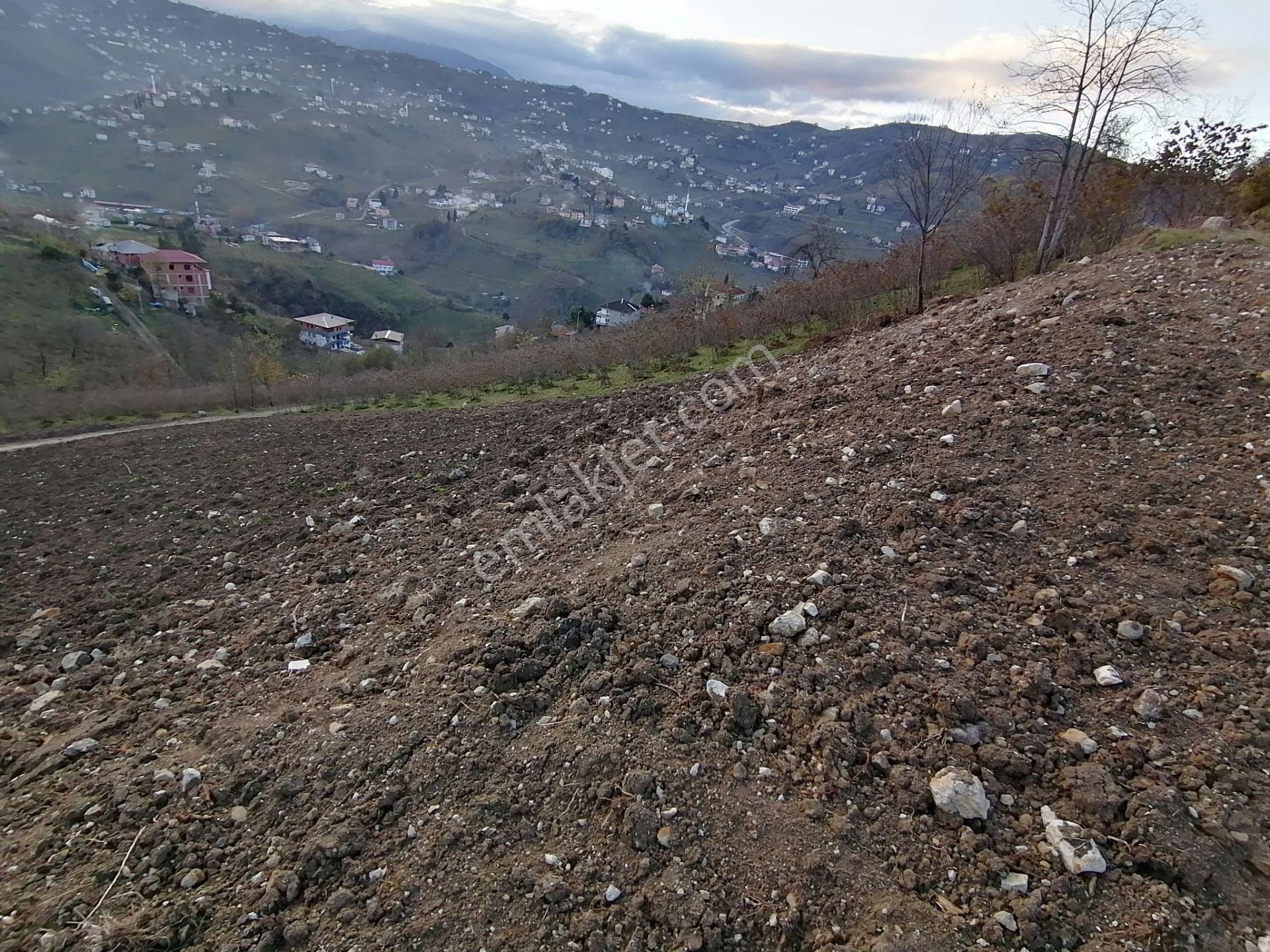 Trabzon Uğurlu Satılık Villalık Arsa - Görsel 2