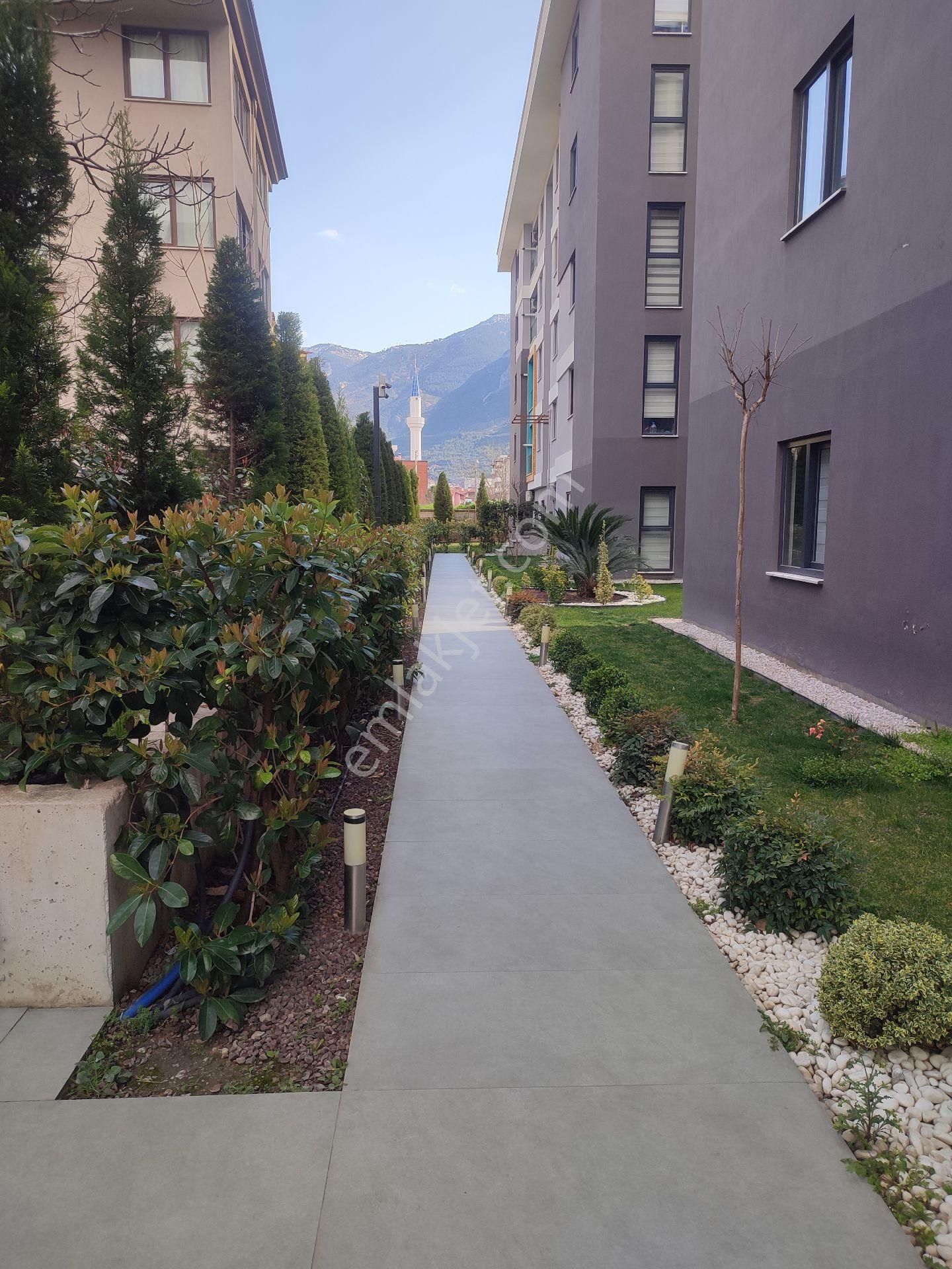 Denizli Antalya Yolu Üzeri 1+1 Kiralik - Görsel 31