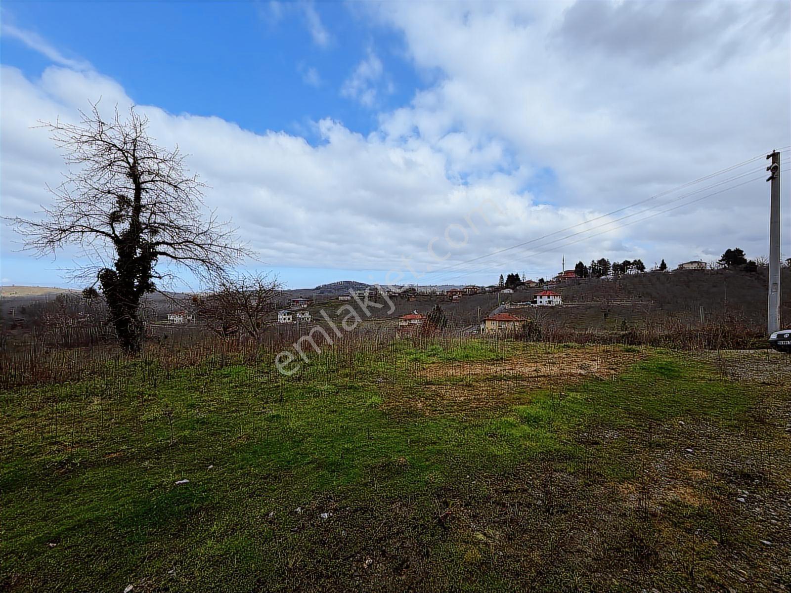 Sakarya Kocaali Kozluk 511 M2 Manzaralı Muhteşem Arsa - Görsel 11