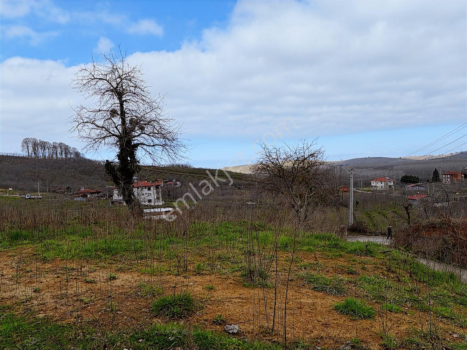 Sakarya Kocaali Kozluk 511 M2 Manzaralı Muhteşem Arsa - Görsel 9