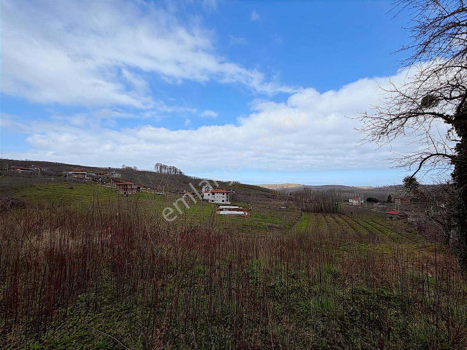 Sakarya Kocaali Kozluk 511 M2 Manzaralı Muhteşem Arsa - Görsel 13