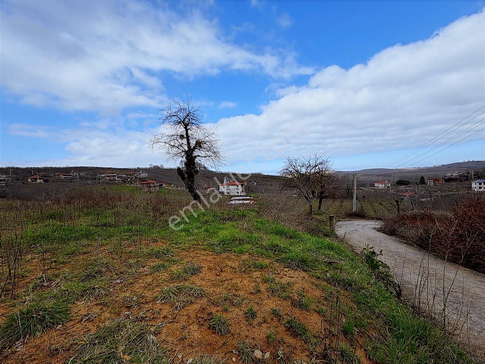 Sakarya Kocaali Kozluk 511 M2 Manzaralı Muhteşem Arsa - Görsel 14