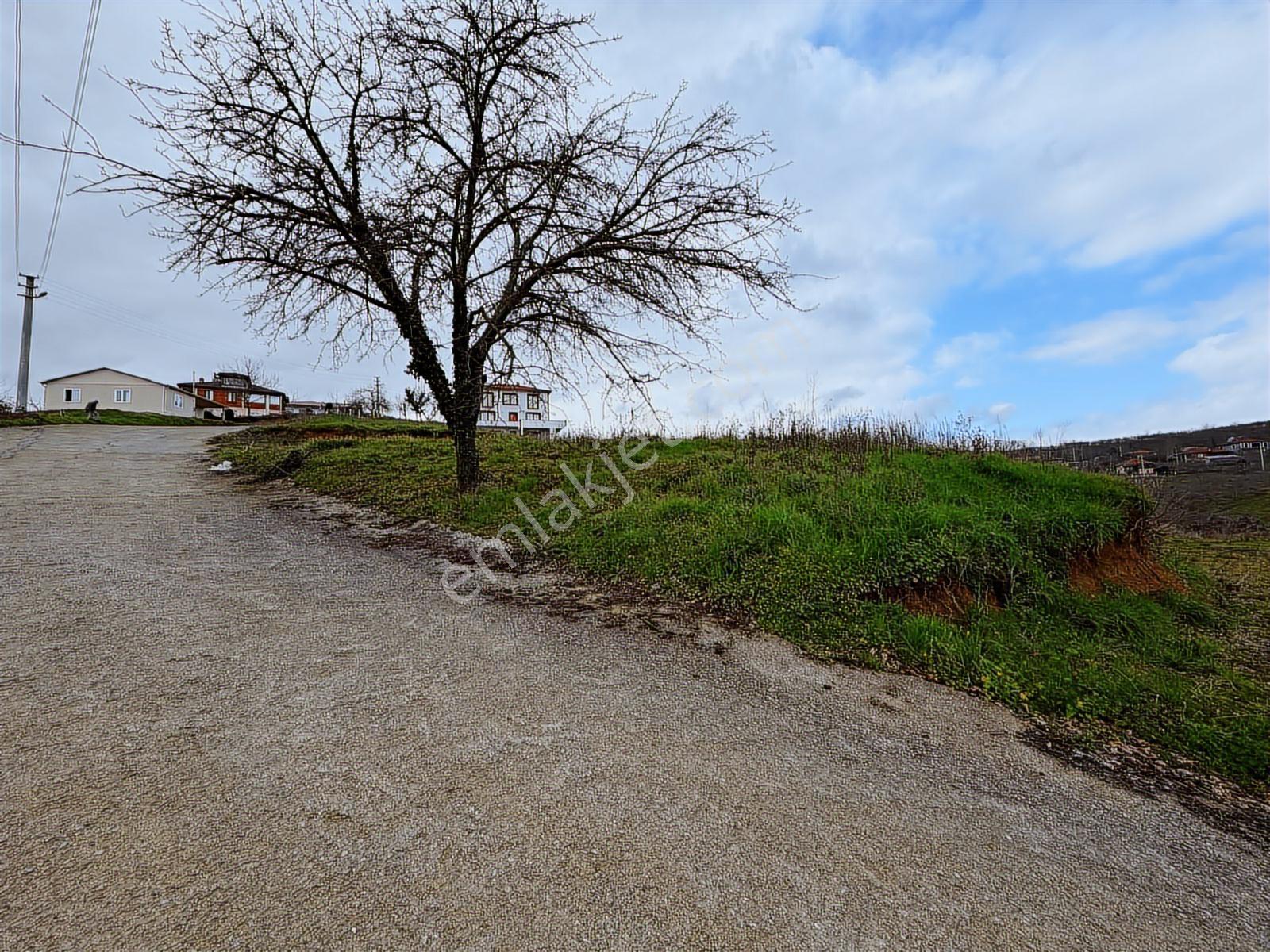 Sakarya Kocaali Kozluk 511 M2 Manzaralı Muhteşem Arsa