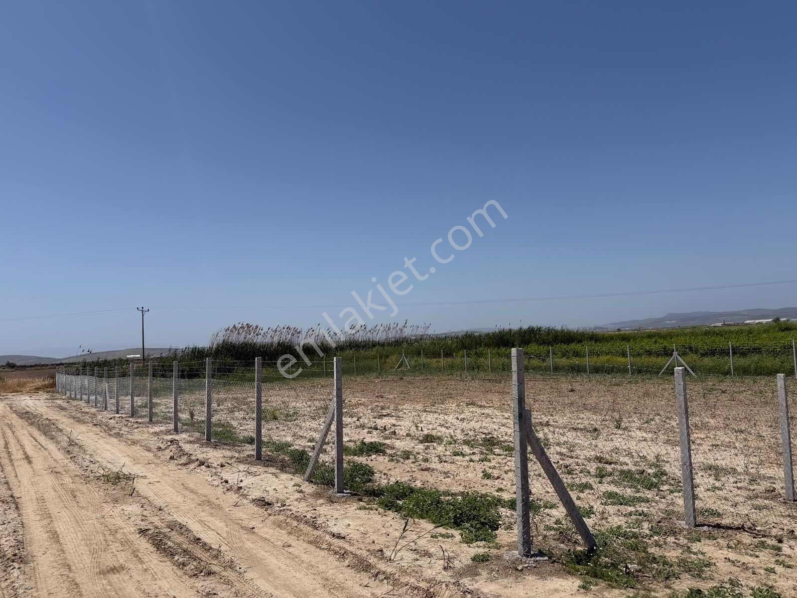 Menemen Kesik'te Yola Cepheli 638 M² Hobi Bahçesi - Görsel 6