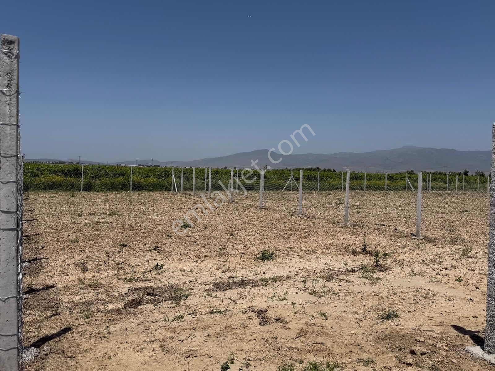 Menemen Kesik'te Yola Cepheli 638 M² Hobi Bahçesi - Görsel 9