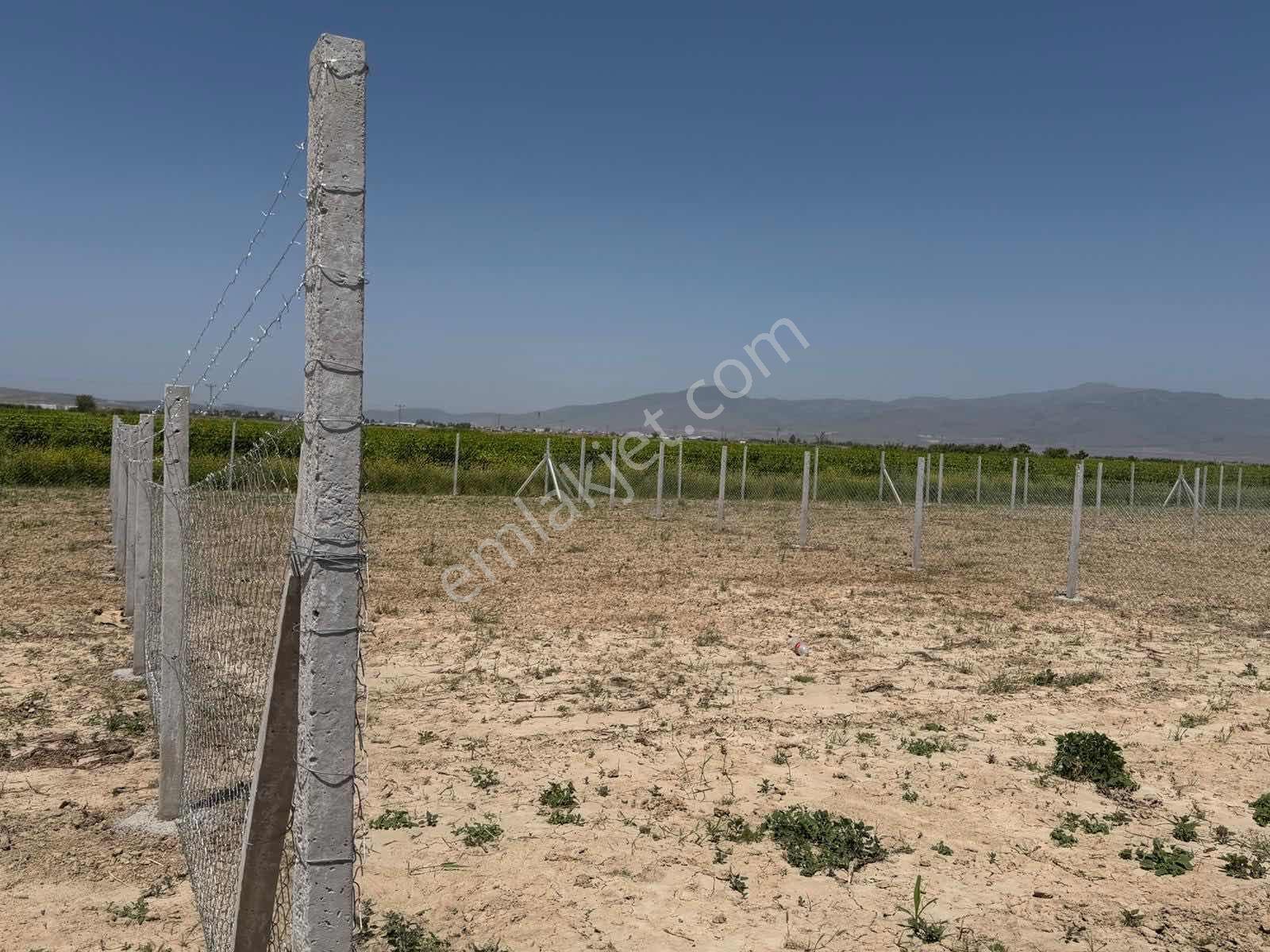 Menemen Kesik'te Yola Cepheli 638 M² Hobi Bahçesi - Görsel 10
