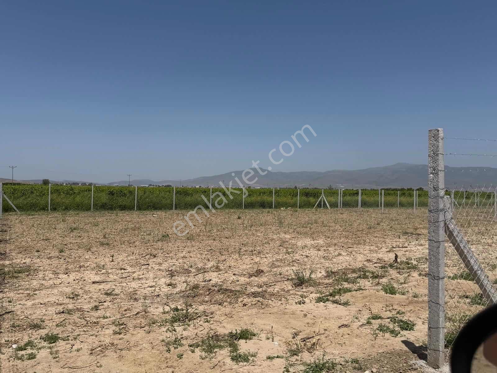Menemen Kesik'te Yola Cepheli 638 M² Hobi Bahçesi - Görsel 11