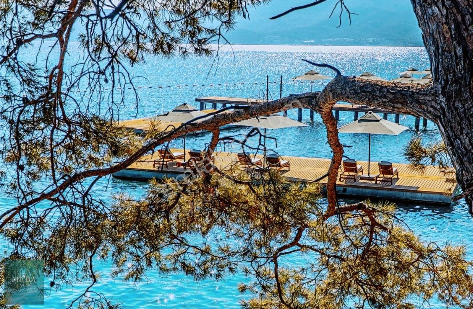 Nef Gölköy'de Deniz Manzaralı 3,5+1 Özel Havuzlu Satılık Villa