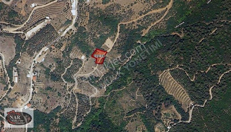 Nar Yönetim'den Osmangazi Uluçam Mah. 2054 M2 Satılık Bahçe - Görsel 4