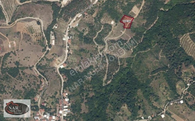 Nar Yönetim'den Osmangazi Uluçam Mah. 2054 M2 Satılık Bahçe - Görsel 6