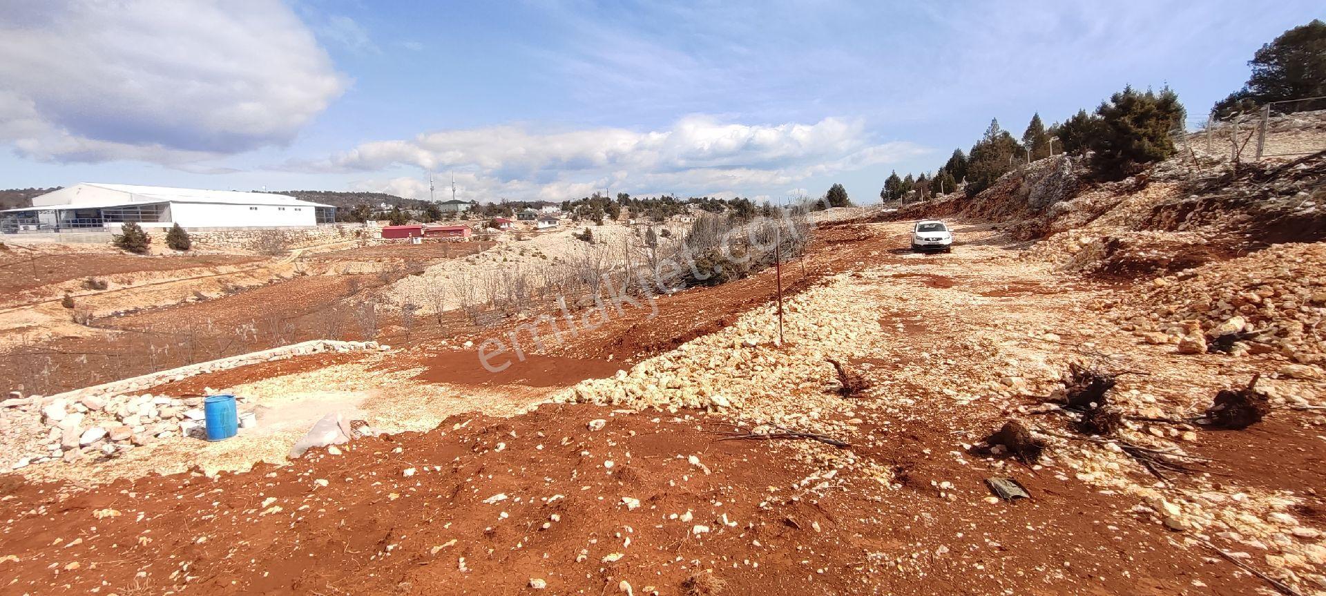 Erdemli Avgadi Yaylasında Satılık İmarlı Arsa - Görsel 16