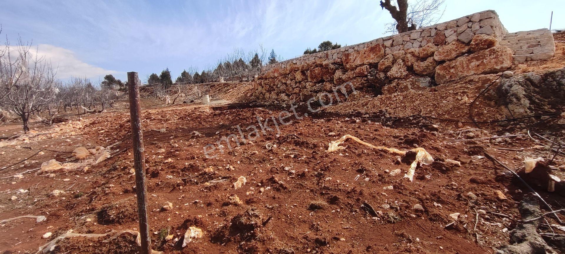 Erdemli Avgadi Yaylasında Satılık İmarlı Arsa - Görsel 27