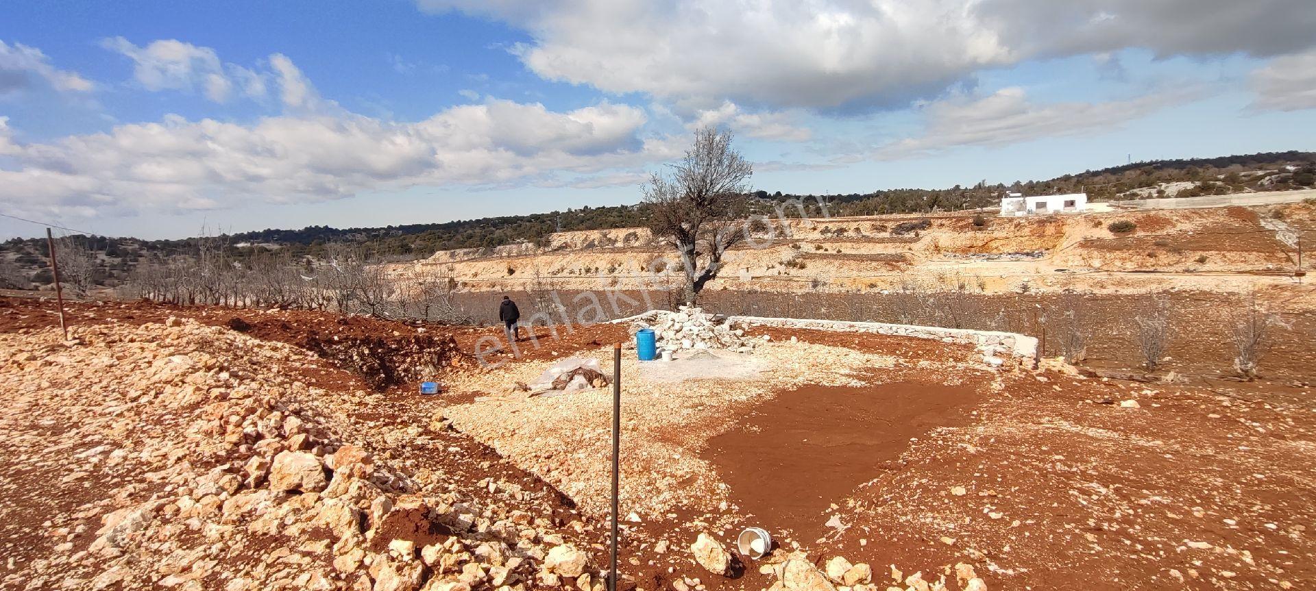 Erdemli Avgadi Yaylasında Satılık İmarlı Arsa - Görsel 18