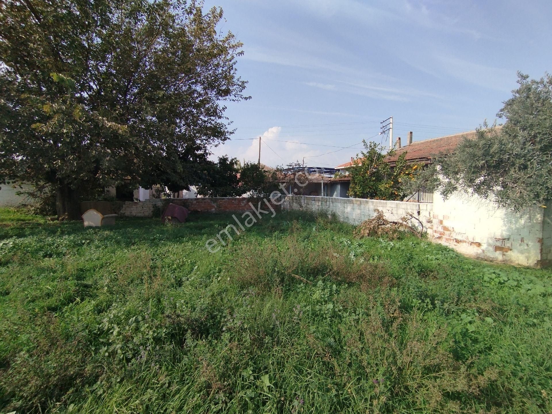 Müstakil Ev Ve Arsası - Görsel 14