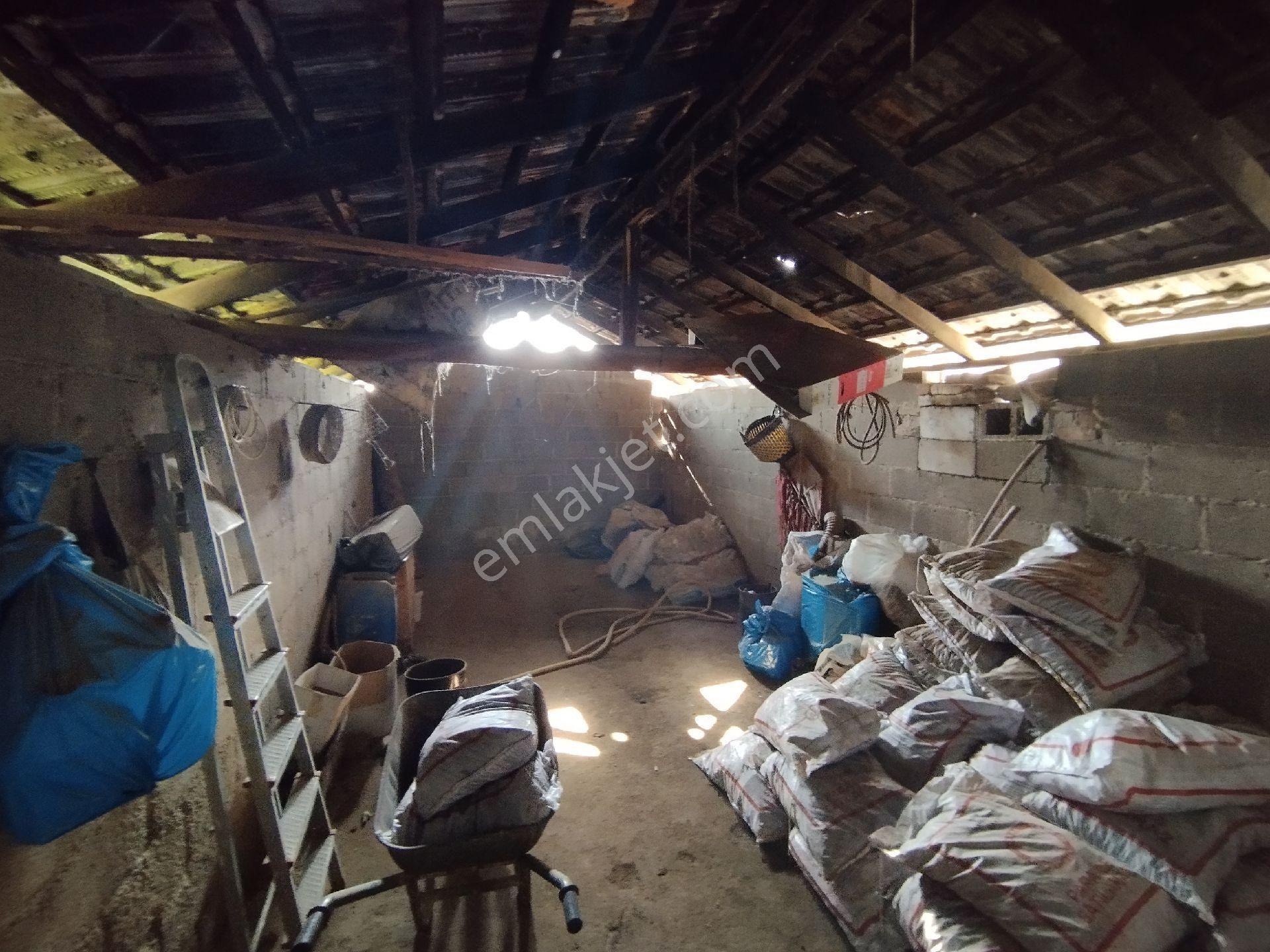 Müstakil Ev Ve Arsası - Görsel 19