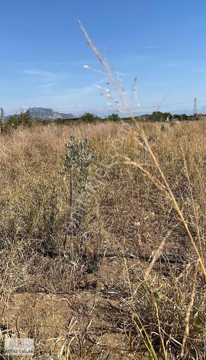 Kovanlık'ta 4000 M2 Ana Yola Yakın Tek Tapu Fırsat Arazi - Görsel 9