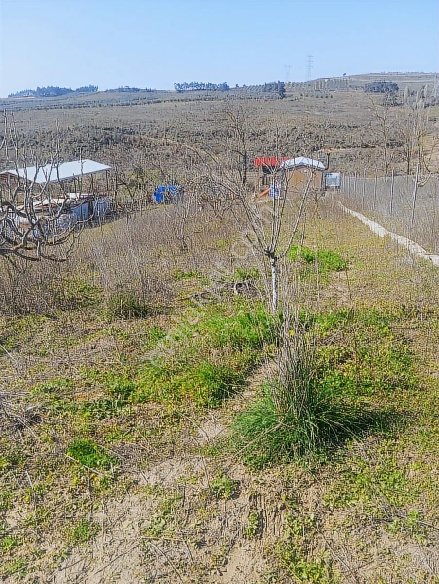 Mükemmel Konumda Dip Fiyat Hobi Bahçesi - Görsel 3