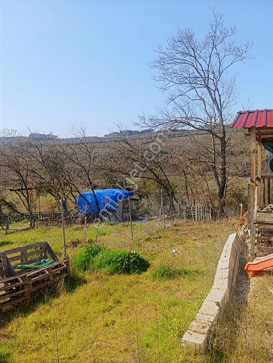 Mükemmel Konumda Dip Fiyat Hobi Bahçesi - Görsel 2