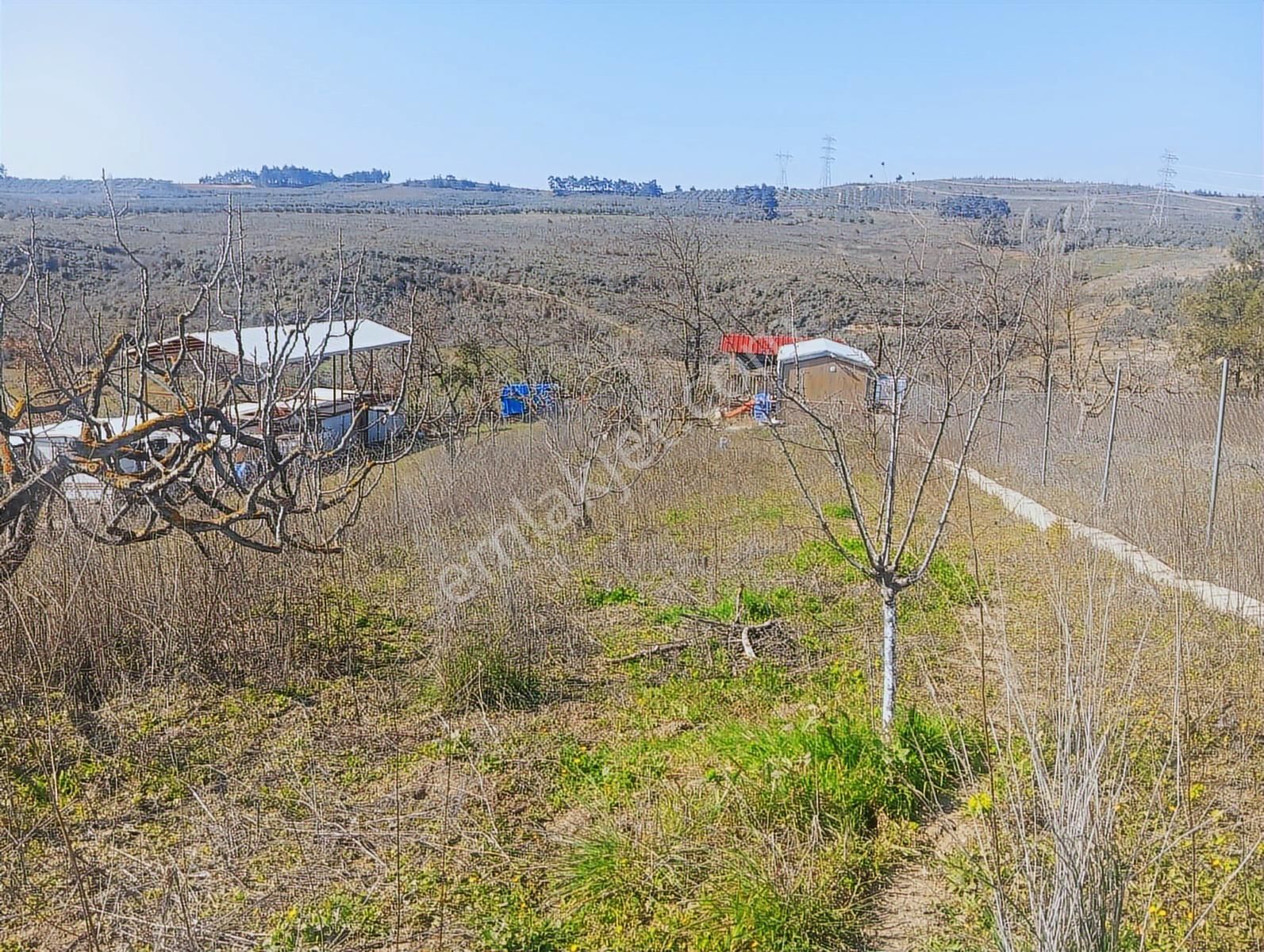 Mükemmel Konumda Dip Fiyat Hobi Bahçesi - Görsel 13