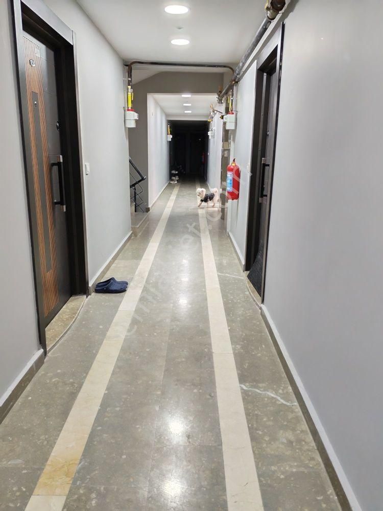 Nusratiye Bella Vita Rezidans’ta Kiralık 1+1 | Yüksek Giriş, Balkonlu, Güvenlikli Site - Görsel 15