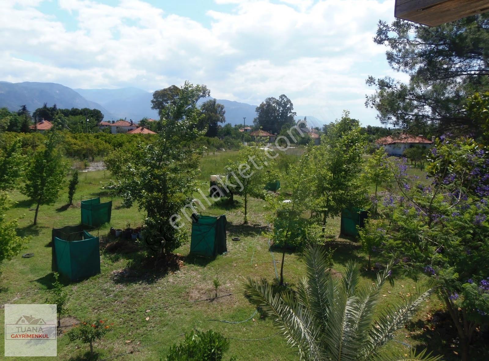 Tuana Emlak'tan Döğüşbelende 4.950 M² Arazi İçinde Müstakil Ev - Görsel 17
