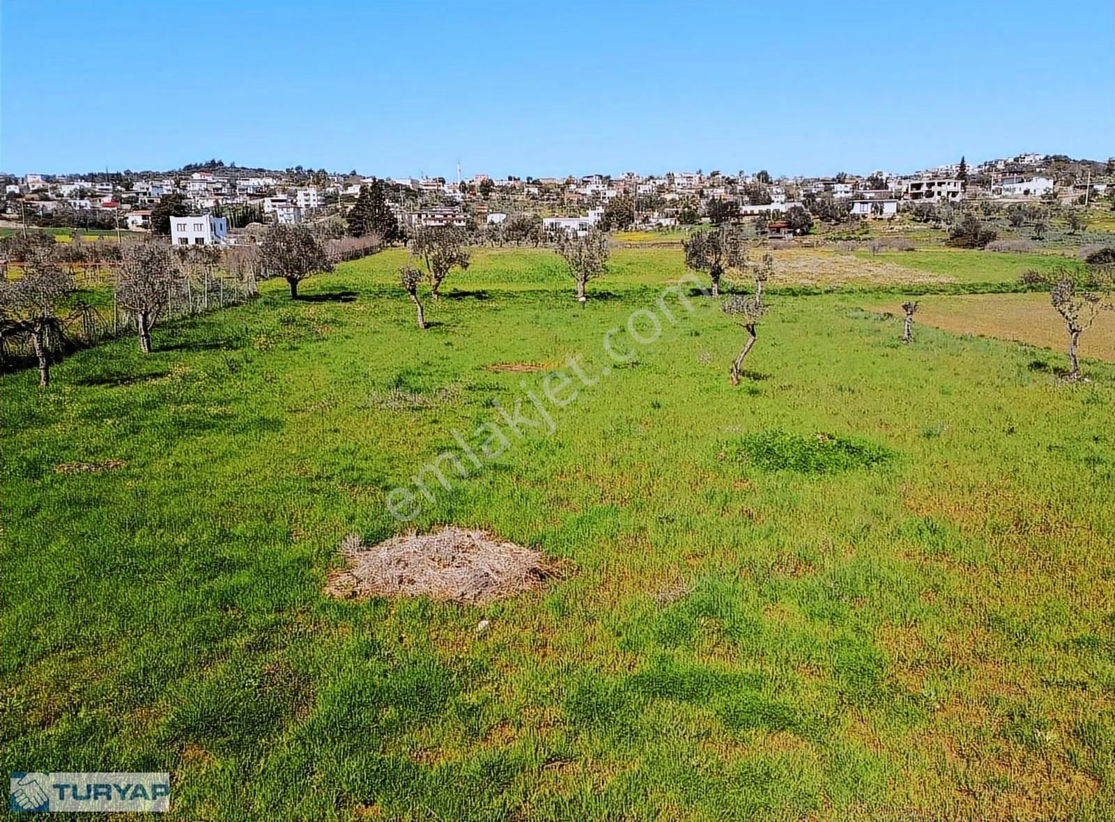 Milas Meşelik'te Köyiçi İmar Sınırında Fırsat Tarla - Görsel 2