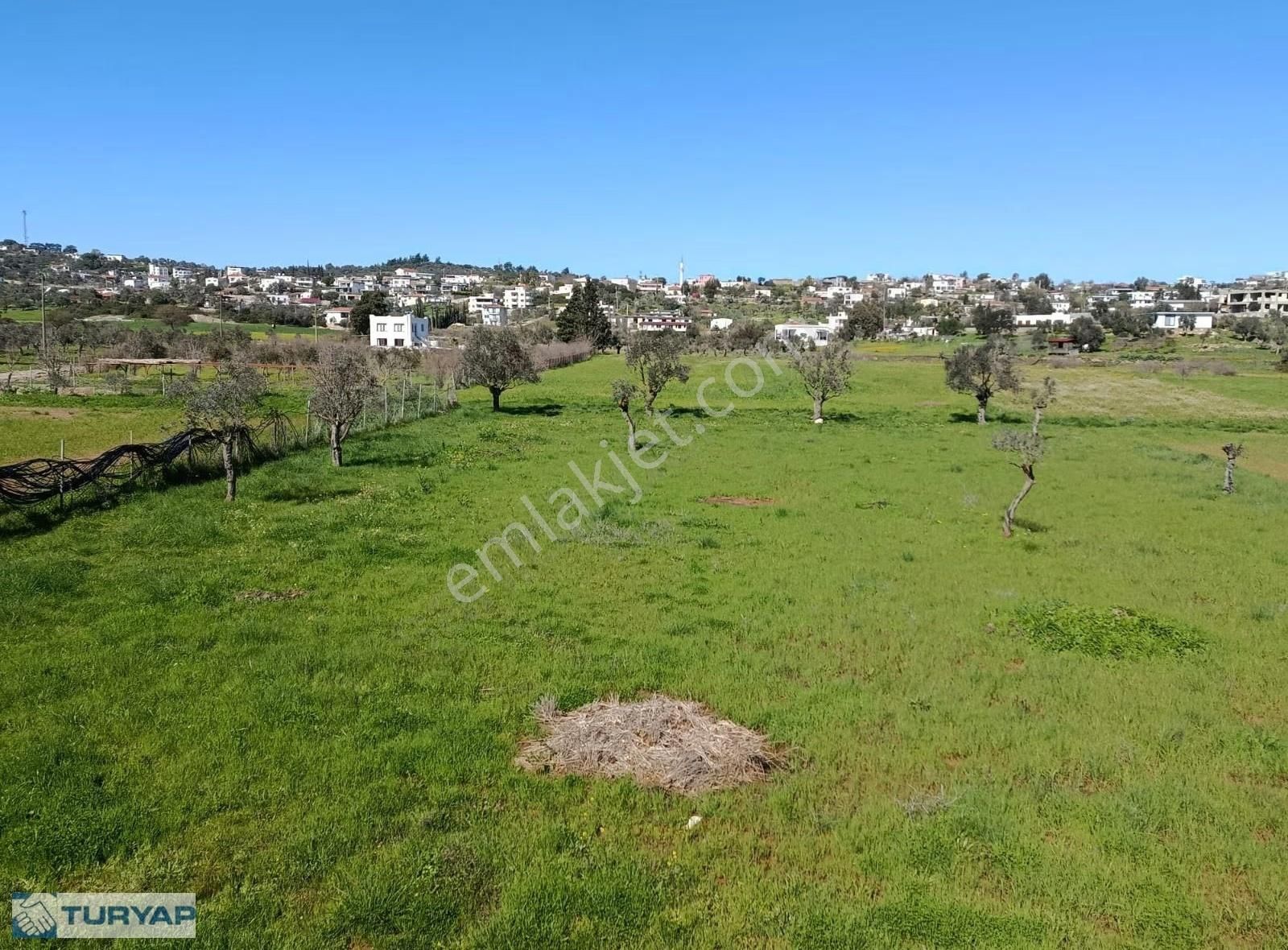 Milas Meşelik'te Köyiçi İmar Sınırında Fırsat Tarla - Görsel 3