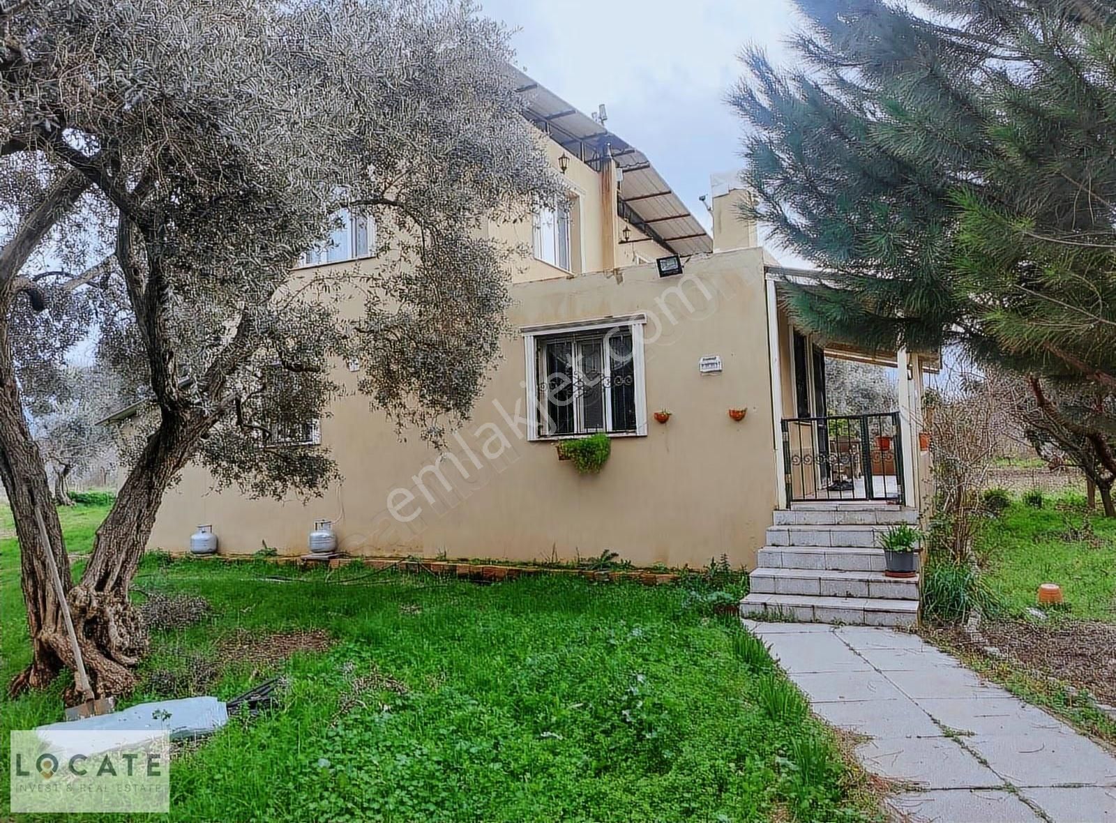 Satılık Kemalpaşa Armutlu'da Bakımlı Zeytinlik Ve Ev - Görsel 2