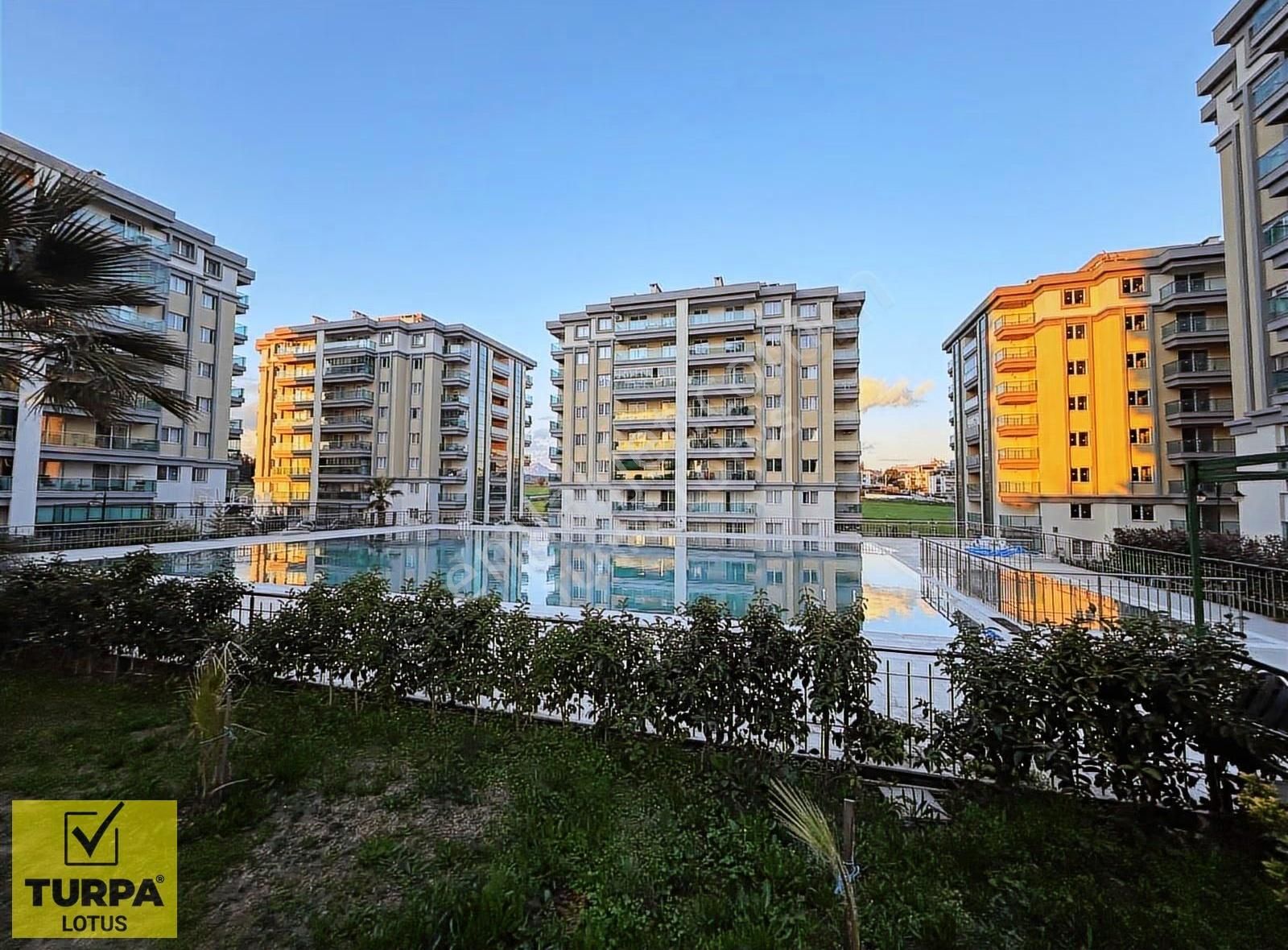 Turpa Lotustan Ali Pehlivanoğlunda Havuz Cephe 1+1 Kiralık Daire