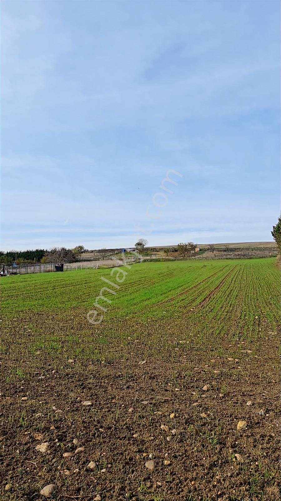 İstanbul Silivri Değirmenköyde Tapulu Yeriniz Olsun - Görsel 3
