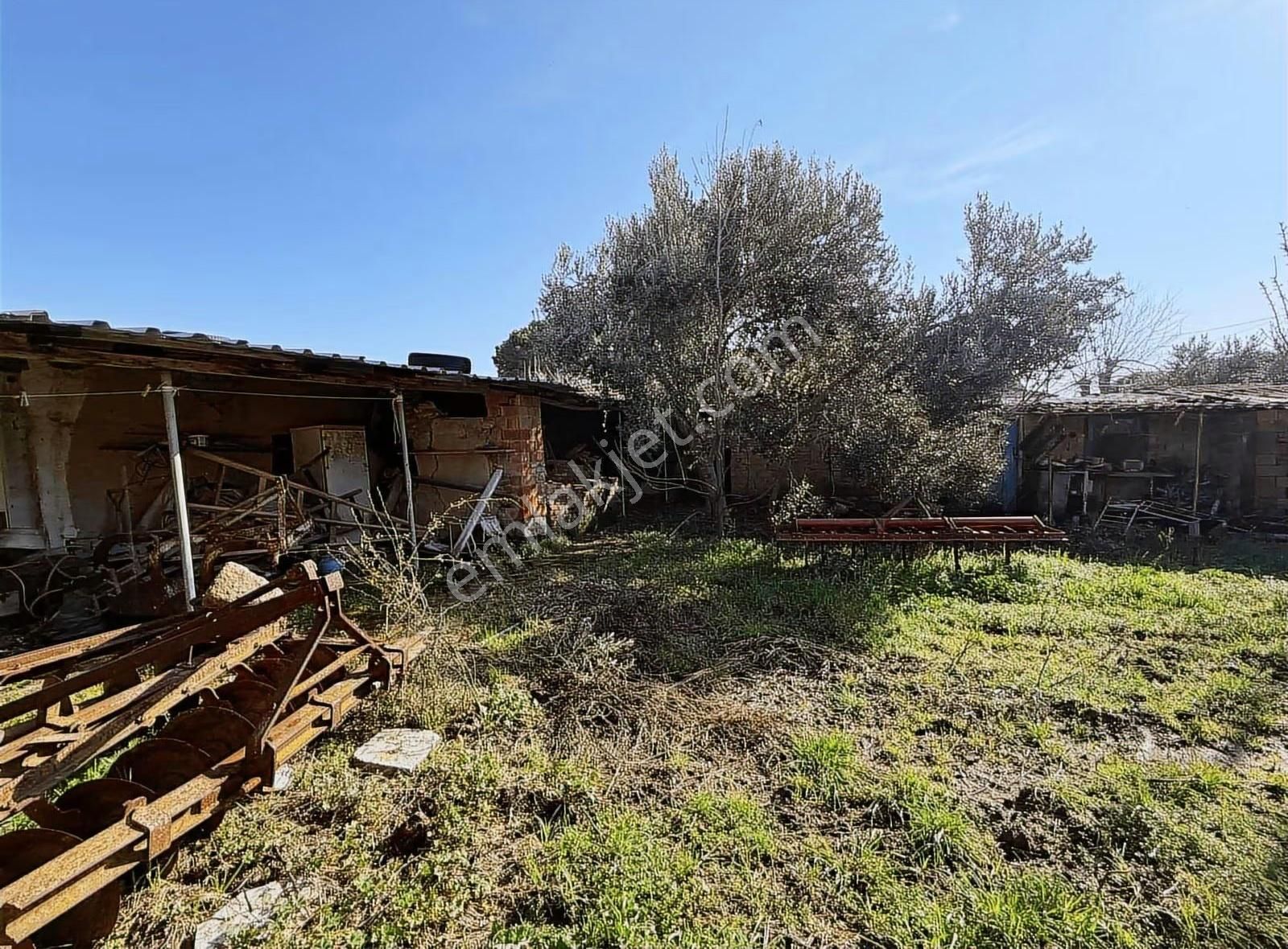 İki Haneli Müstakil Tapulu Köy Evi - Görsel 19