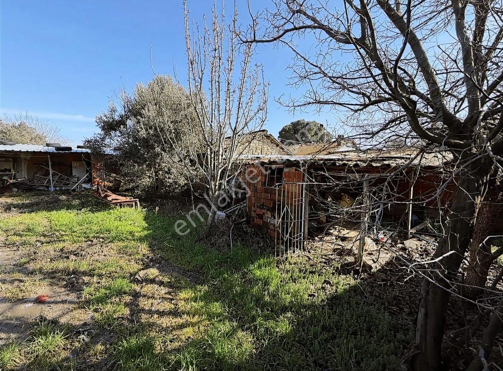 İki Haneli Müstakil Tapulu Köy Evi - Görsel 7