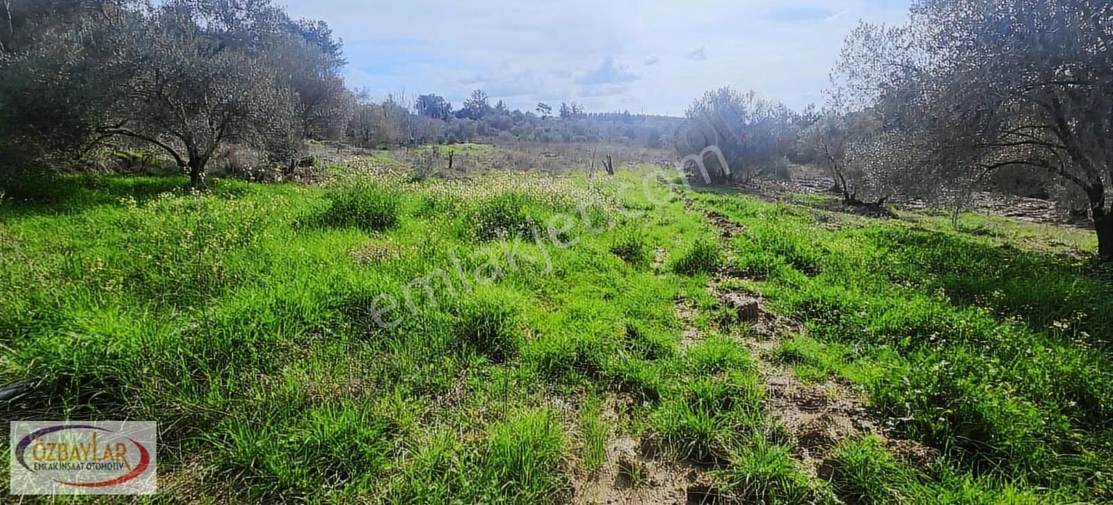 Antalya Manavgat Evrenyavşı'da Satılık Tarla - Görsel 3