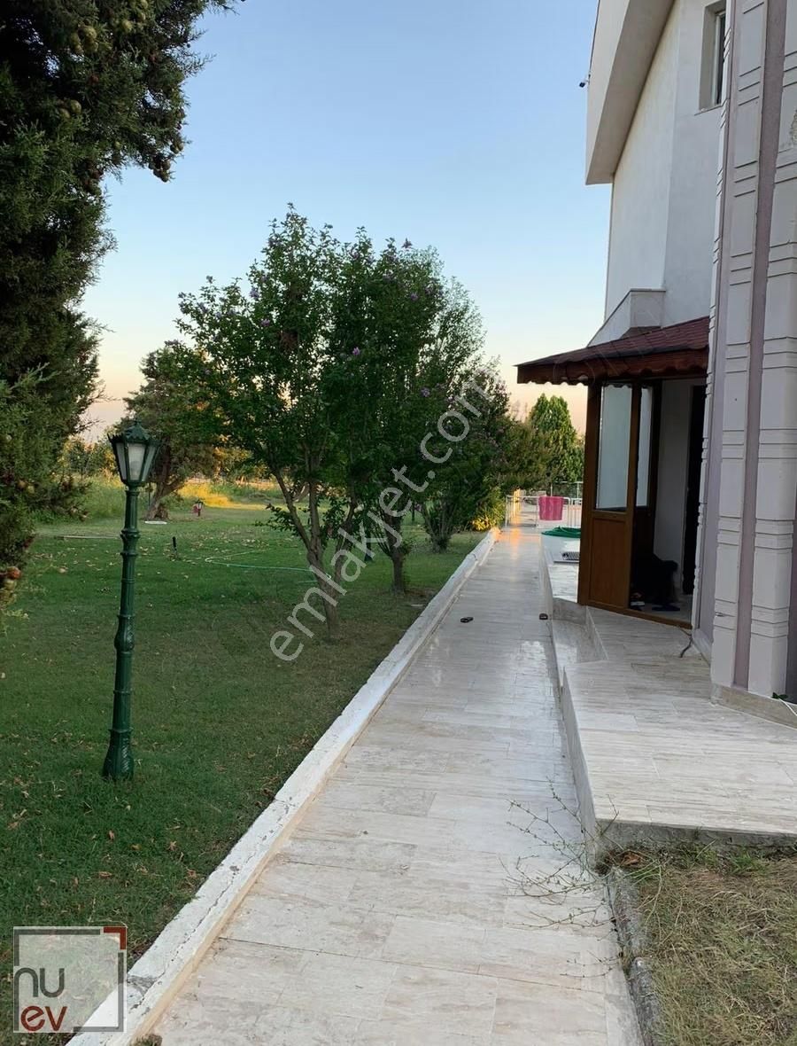 Müstakil Geniş Bahçe Ve Özel Havuzlu Kiralık -nuev - Görsel 14