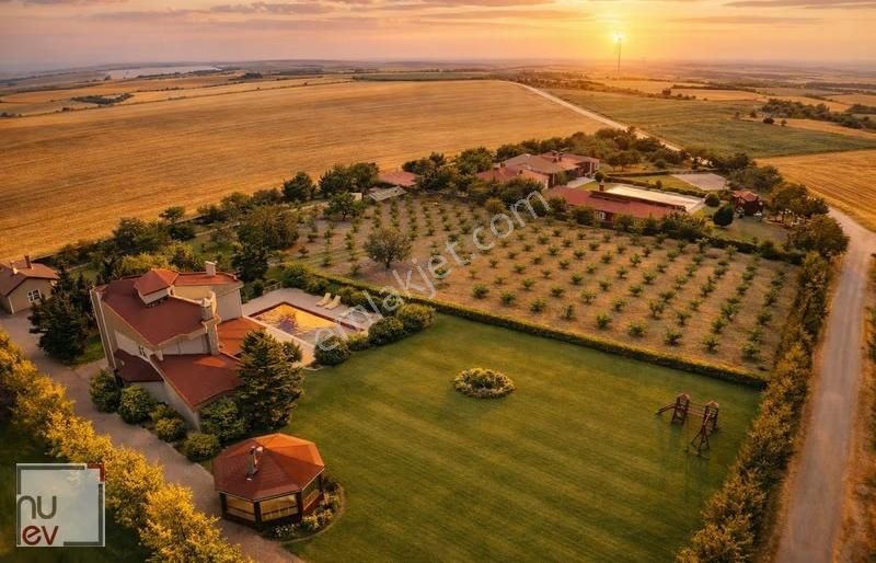 Müstakil Geniş Bahçe Ve Özel Havuzlu Kiralık -nuev