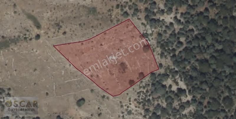 Emsalsiz Fiyata Fakırcalı Çayarası 8.818 M² Yolu Elektriği Var ! - Görsel 2