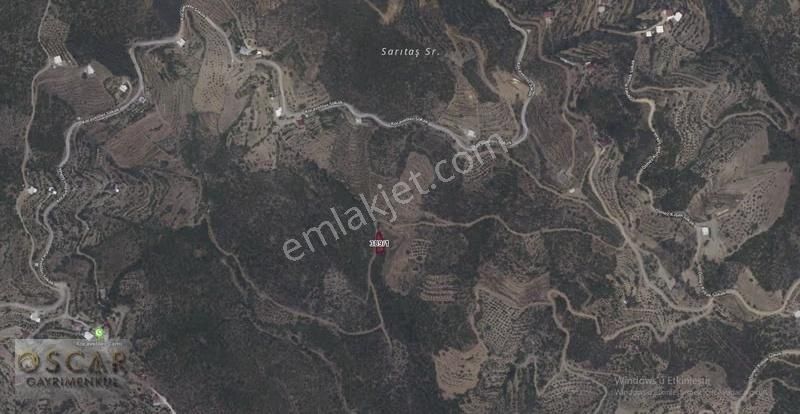 Oscar'dan Alanya Çamlıca'da Sudan Ucuz Fiyata Yatırımlık Tarla!