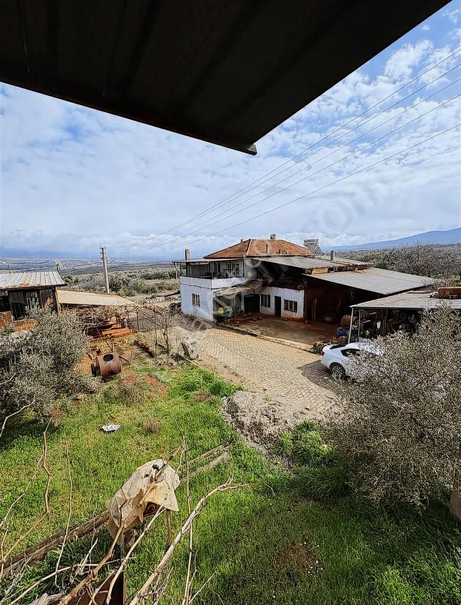 Karacasu Cuma Mah. Satılık 245 M2 Müstakil Ev Ve İşyeri - Görsel 3