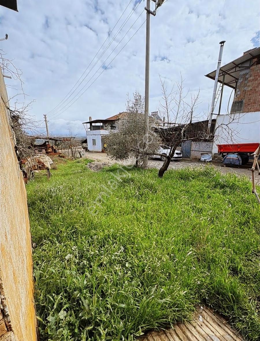 Karacasu Cuma Mah. Satılık 245 M2 Müstakil Ev Ve İşyeri - Görsel 14